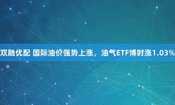 双融优配 国际油价强势上涨，油气ETF博时涨1.03%