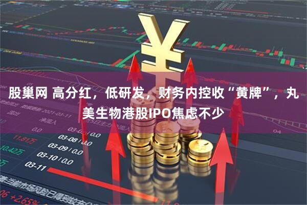 股巢网 高分红，低研发，财务内控收“黄牌”，丸美生物港股IPO焦虑不少