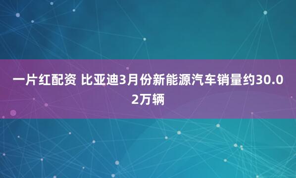 一片红配资 比亚迪3月份新能源汽车销量约30.02万辆